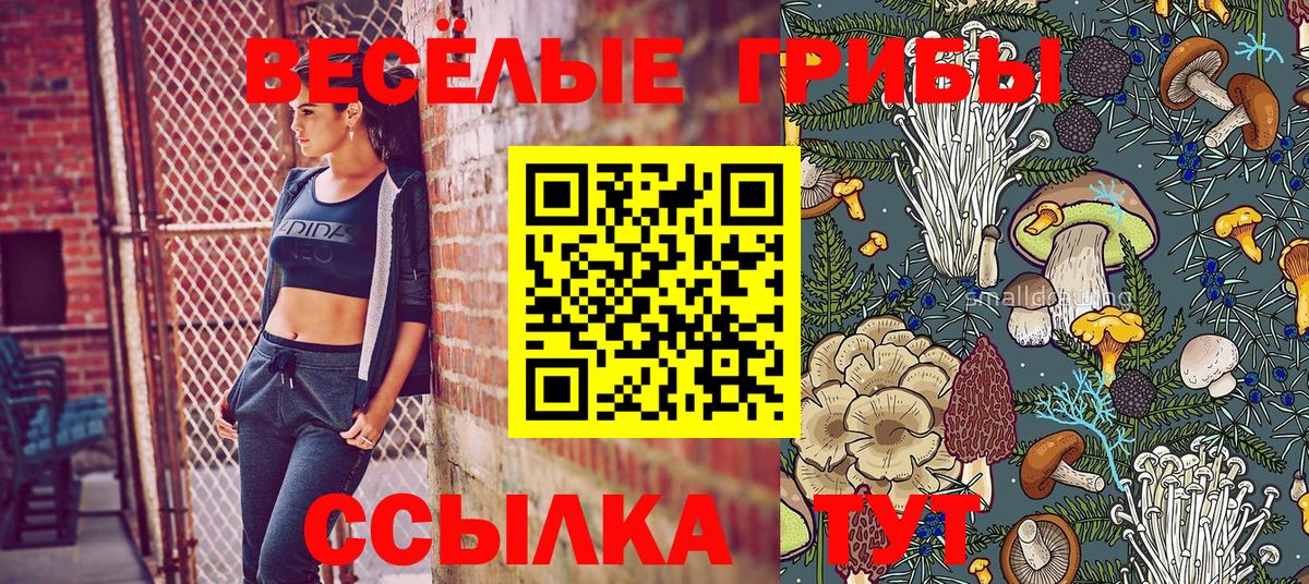 Галлюциногенные грибы Psilocybine cubensis  Псилоцибиновые грибы GOLDEN TEACHER  цена наркотик  Вход с VPN  Минеральные Воды 